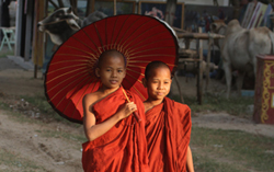 Monklets walking together