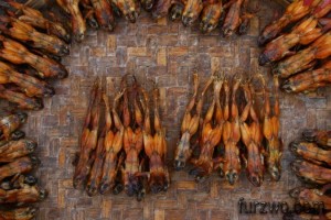 justforfun3-Smoked-frogs-Myanmar-675x450