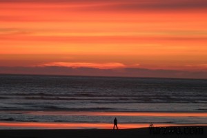 landscape7-Oregon-Coast-sunset-675x450