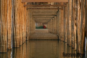 patterns4-Monk-at-the-end-of-worlds-longest-Teak-bridge-in-Myanmar