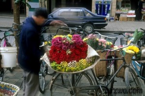 travel1-Outside-the-Flower-Market-KunmingChina