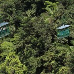 Jungle Tram, Dominica