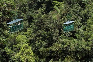 Jungle Tram, Dominica