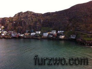 Channel shore, St John, Newfoundland